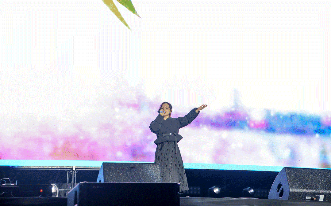 平陽體育中心群星演唱會！超萬人圍觀，現(xiàn)場火爆High唱！