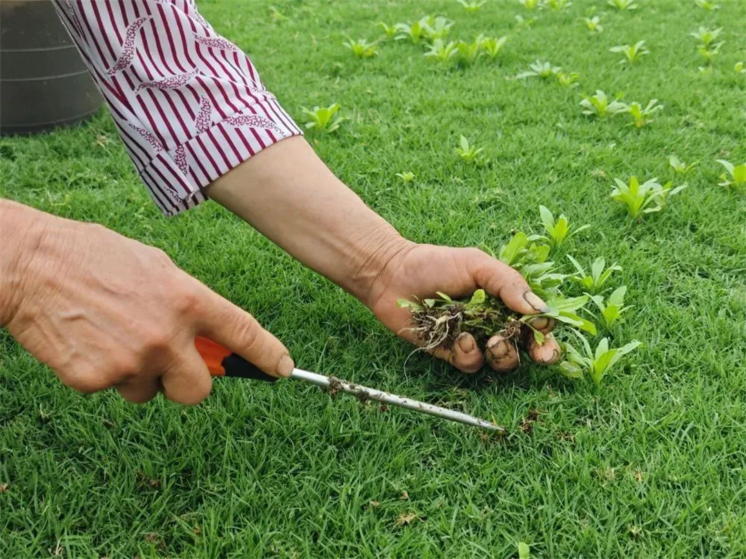 萬豪集團匠心助力，6月齊聚重慶龍興足球場為國足吶喊助威！